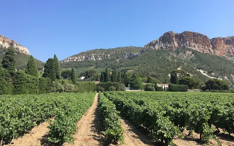 Provence Wine Tours image