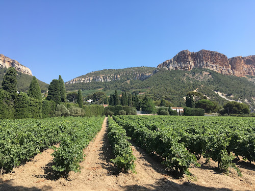 attractions Provence Wine Tours Aix-en-Provence