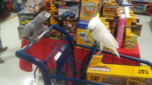 Department Store «Marshalls», reviews and photos, 3975 Cascades Blvd, Kent, OH 44240, USA