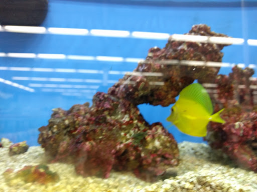 Pet Supply Store «Petco Animal Supplies», reviews and photos, 40 Colonnade Way, State College, PA 16803, USA