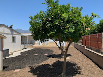 Garcia Gardening 1 Time Services#2 - Photo 3 - Car repair in South El Monte, CA, Fullerton