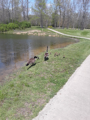Public Golf Course «Beech Creek Golf Course», reviews and photos, 1831 Hudepohl Ln, Cincinnati, OH 45231, USA