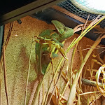 Photo n° 5 de l'avis de P..l fait le 06/01/2024 à 14:19 pour Nausicaa Centre National De La Mer à Boulogne-sur-Mer