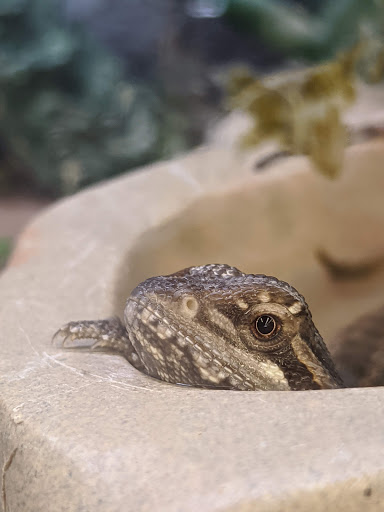 Pet Supply Store «Petco Animal Supplies», reviews and photos, 1419 Towne Square Blvd NW, Roanoke, VA 24019, USA