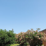 Photo n°3 de l'avis de MARCO.O fait le 23/06/2023 à 15:17 sur le  Hotel Venosta à Fiumicino