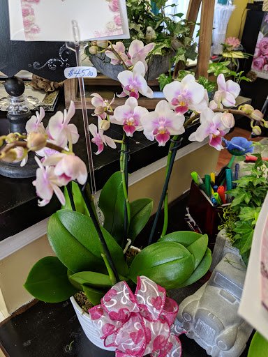 Florist «Brava Vita Flowers & Gifts - Sewell, NJ Florist», reviews and photos, 342A Egg Harbor Rd, Sewell, NJ 08080, USA