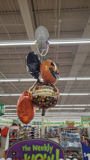 Dollar Store «Dollar Tree», reviews and photos, 1031 E Oakton St, Des Plaines, IL 60018, USA