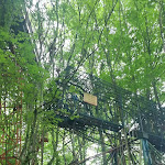 Photo n°12 de l'avis de Michela.n fait le 07/05/2023 à 12:20 sur le  Osteria Ai Pioppi à Nervesa della Battaglia