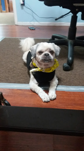 Pet Supply Store «Petco Animal Supplies», reviews and photos, 509 NJ-70, Brick, NJ 08723, USA