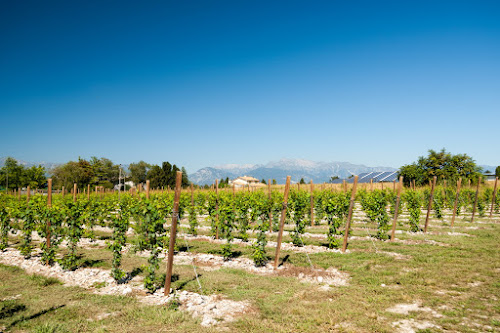 Rauscedo à Rauscedo