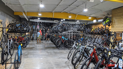 Bicycle Store «Urban Bicycle Gallery», reviews and photos, 4814 Nett St, Houston, TX 77007, USA