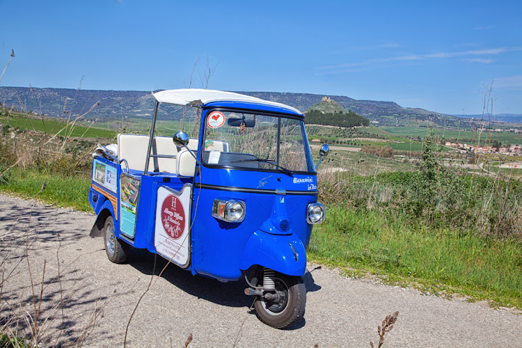Escursioni Turistiche Ape Calessino Barumini