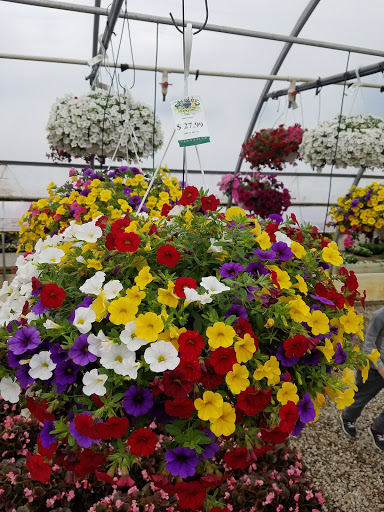 Florist «Meier Flowerland & Greenhouse», reviews and photos, 8087 Grand River Ave, Brighton, MI 48114, USA