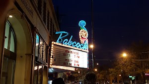 Babcock - photo 1