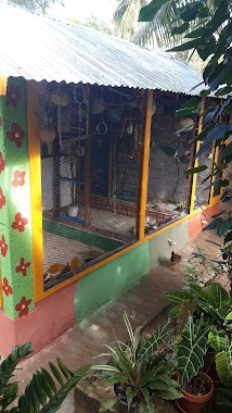 Casita Agaporni