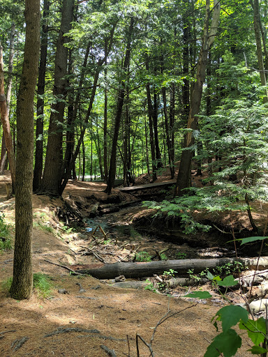 Disc Golf Course «Bellamy Park Disc Golf», reviews and photos, Bellamy Rd, Dover, NH 03820, USA