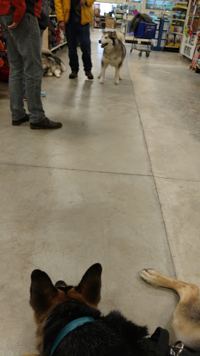 Pet Supply Store «PetSmart», reviews and photos, 1010 E Lancaster Ave, Downingtown, PA 19335, USA