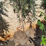 Photo n°2 de l'avis de Anna.i fait le 09/09/2020 à 12:02 sur le  La Corte dell' Astore | Wild in Style Resort à Alberobello