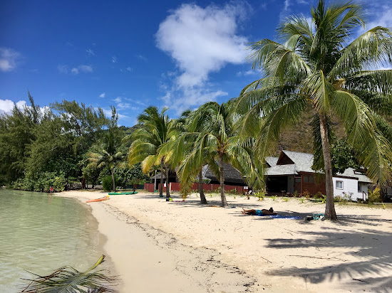 Plage des tipaniers