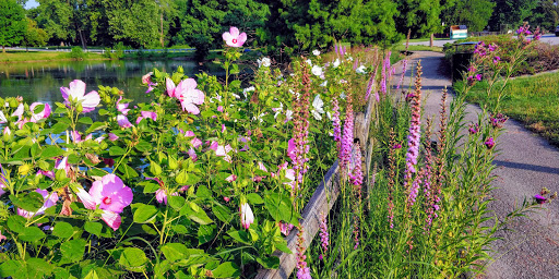 City Park «Krannert Park», reviews and photos, 605 South High School Road, Indianapolis, IN 46241, USA