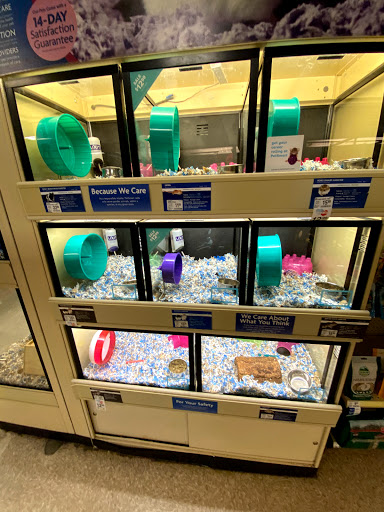Pet Supply Store «PetSmart», reviews and photos, 19 Clifton Country Rd, Clifton Park, NY 12065, USA