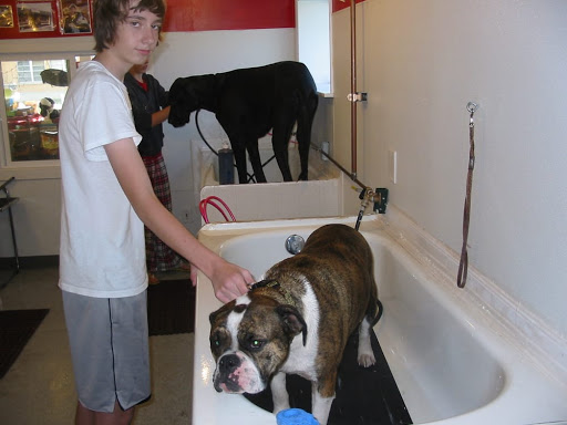 Pet Groomer «Red Bandana 4 Pets», reviews and photos, 925 Pioneer Rd, Draper, UT 84020, USA