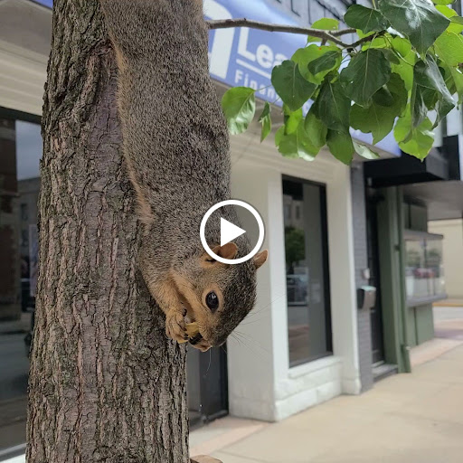 Mortgage Lender «LeaderOne Financial», reviews and photos