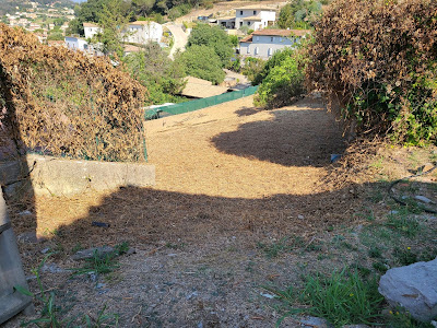 ARBO-COEUR: Élagage - Abattage d'arbres - Débroussaillage - Alpes-Maritimes 06 et Var 83 à Mouans-Sartoux