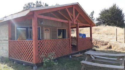 Camping Y Cabaña PEWMAKO