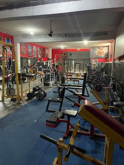 Element Fitness Gym - Av Abraham Lincoln 105, Central, 64193 Monterrey, N.L., Mexico