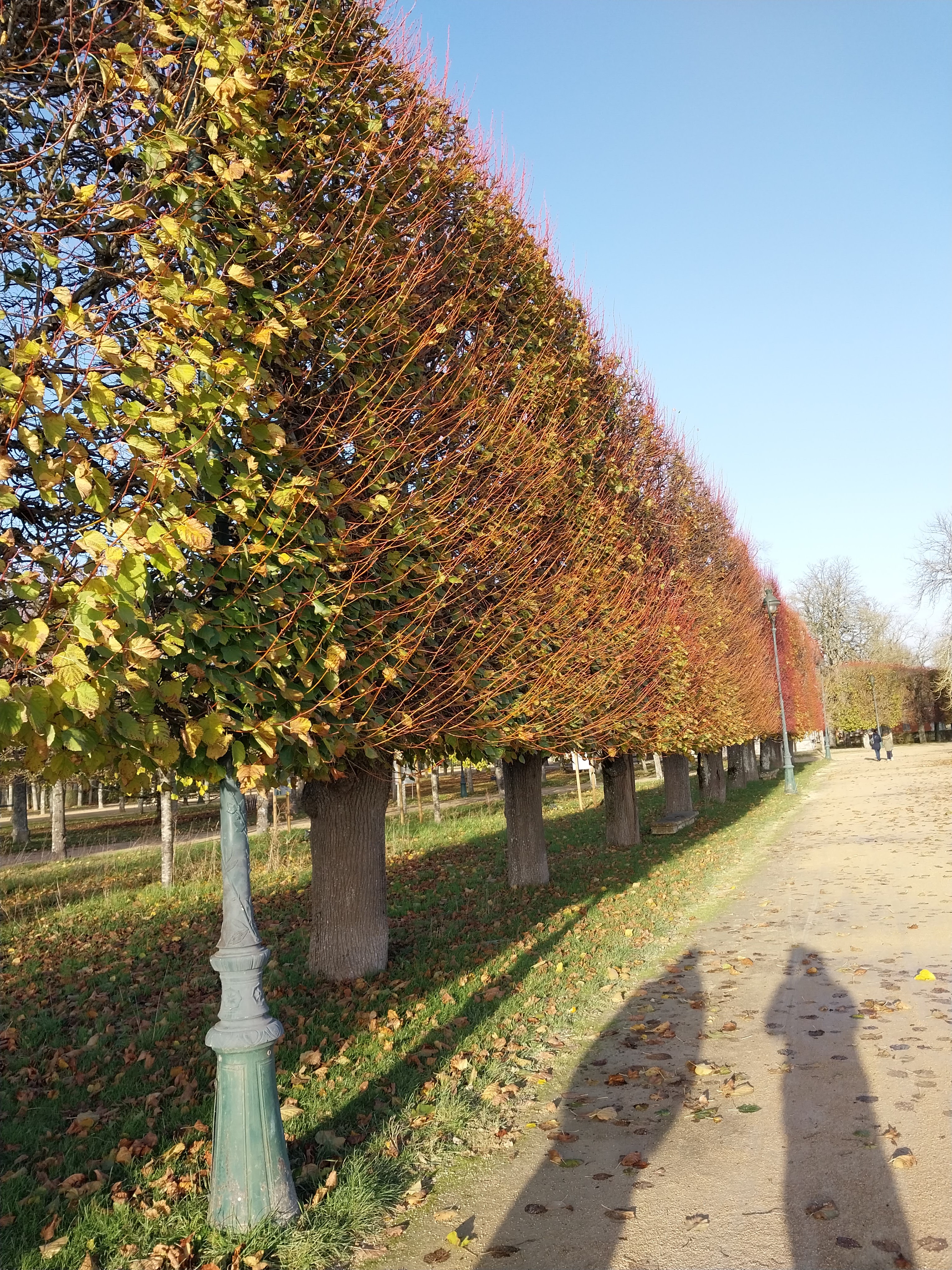 Photo n° 3 de l'avis de Luc.r fait le 23/11/2022 à 19:07
