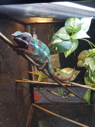 Event Venue «Rochester Main Street Armory», reviews and photos, 900 E Main St, Rochester, NY 14605, USA