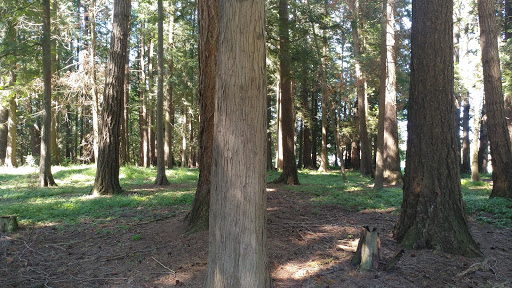 Park «Lynden City Park», reviews and photos