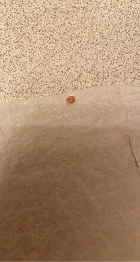 Tattoo Shop «Unlimited Mind Tattoo», reviews and photos, 1121 Texas Ave, Texas City, TX 77590, USA