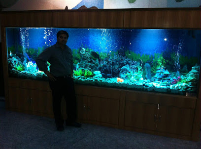 Sagar Fish Aquarium