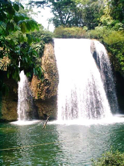 Direccion De Limpia Y Aseo Publico - Oficinas de empresa en Tuxtla Gutiérrez, Chiapas, México