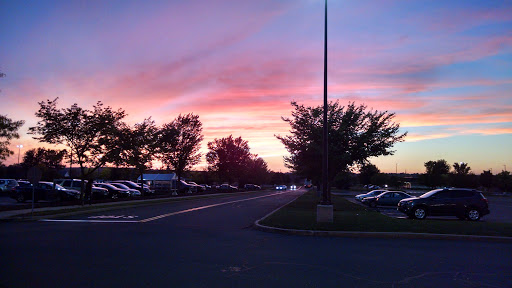 Dollar Store «Dollar Tree», reviews and photos, 135 West Rd, Ellington, CT 06029, USA