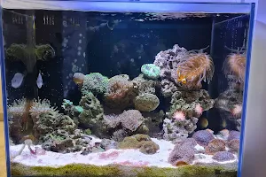 ultimate aquarium image