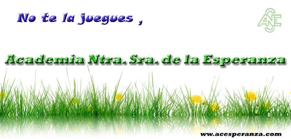 Imagen de Academia Ntra. Sra. de la Esperanza Foadis. (13 de 21)