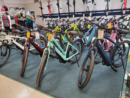 Bicycle Store «Chainwheel Drive», reviews and photos, 32796 US Hwy 19 N, Palm Harbor, FL 34684, USA