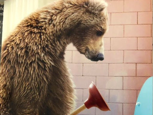 Notary Public «Mail Shoppe», reviews and photos, 10720 W Indian School Rd #19, Phoenix, AZ 85037, USA