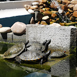 Photo n°1 de l'avis de Steven.o fait le 24/04/2022 à 21:31 sur le  Coruja Chef à Coruche