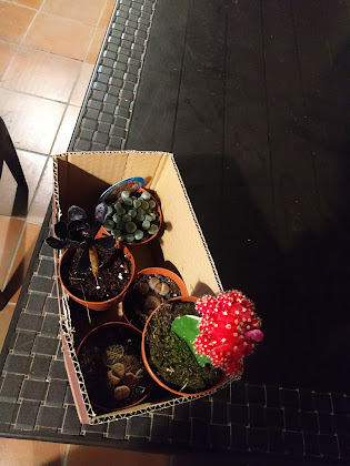 Plats et boissons Casa rural Las Casillas del Cabo de Gata 04116 Hortichuelas