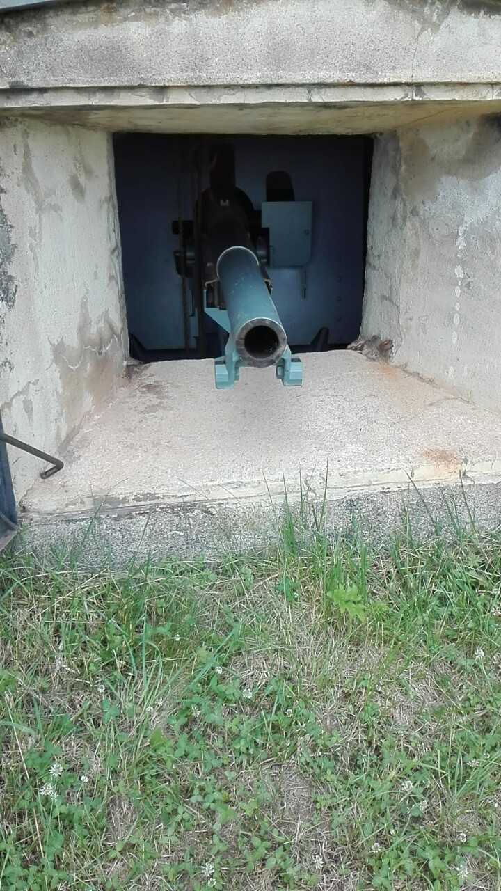 Photo n° 1 de l'avis de Spina. fait le 03/06/2018 à 16:38