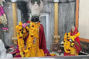 Shri Brij Raj Swami Mandir image