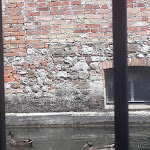 Photo n°3 de l'avis de Graziella.o fait le 23/07/2018 à 14:25 sur le  Ristorante Al Scus à Reana del Rojale