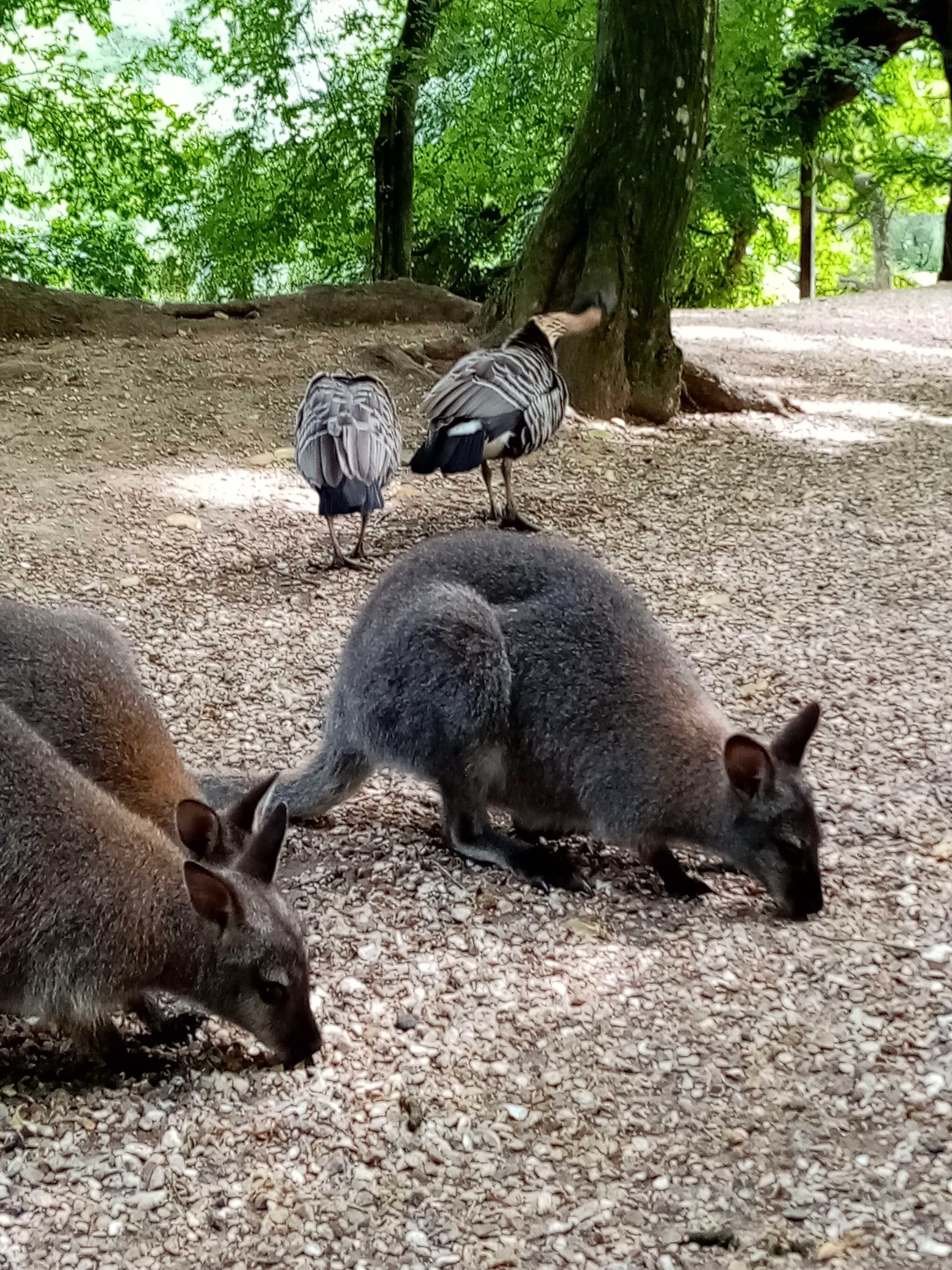 Photo n° 26 de l'avis de Marielaure.a fait le 25/07/2023 à 19:08