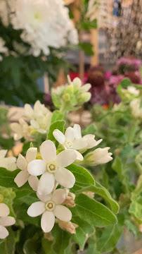 Photos du propriétaire du Restaurant Les fleurs, c'est lui à Paris - n°8