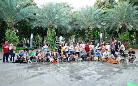 Jakarta Dog Lovers Gathering image