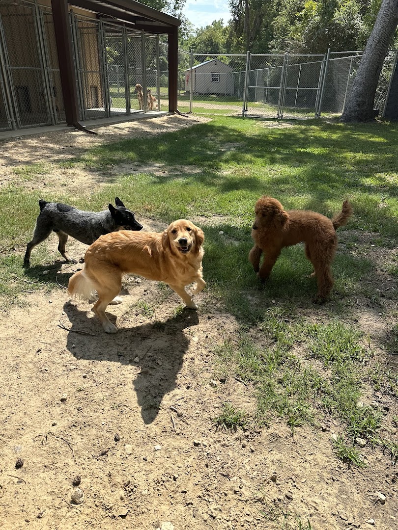 The Kennels at Gum Gully